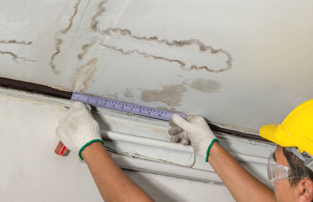 Reliable Water Damage contractor in Hayesville, OH by Water Damage Irwin